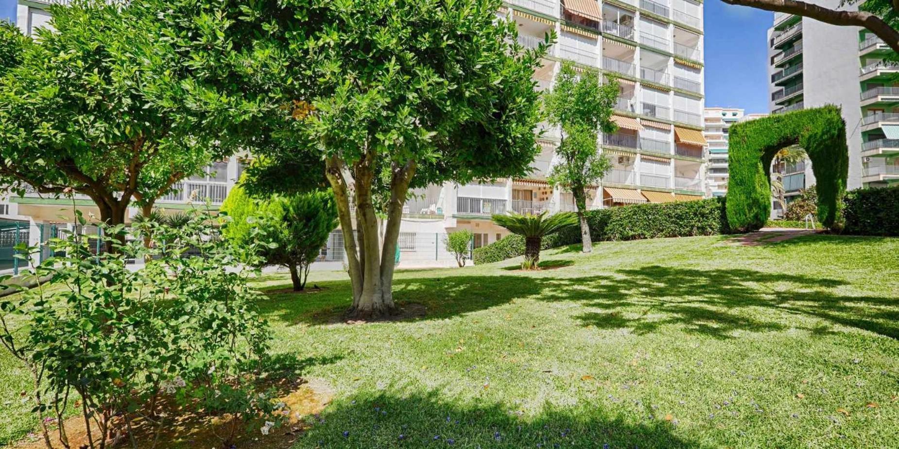 Apartamento de 3 habitaciones BRASILMAR Playa de Gandia Exterior foto